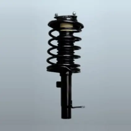 Strut Assembly